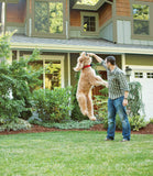 PetSafe Wireless Pet Containment System Receiver Collar for Dogs and Cats over 8 lb, Waterproof with Tone and Static Correction